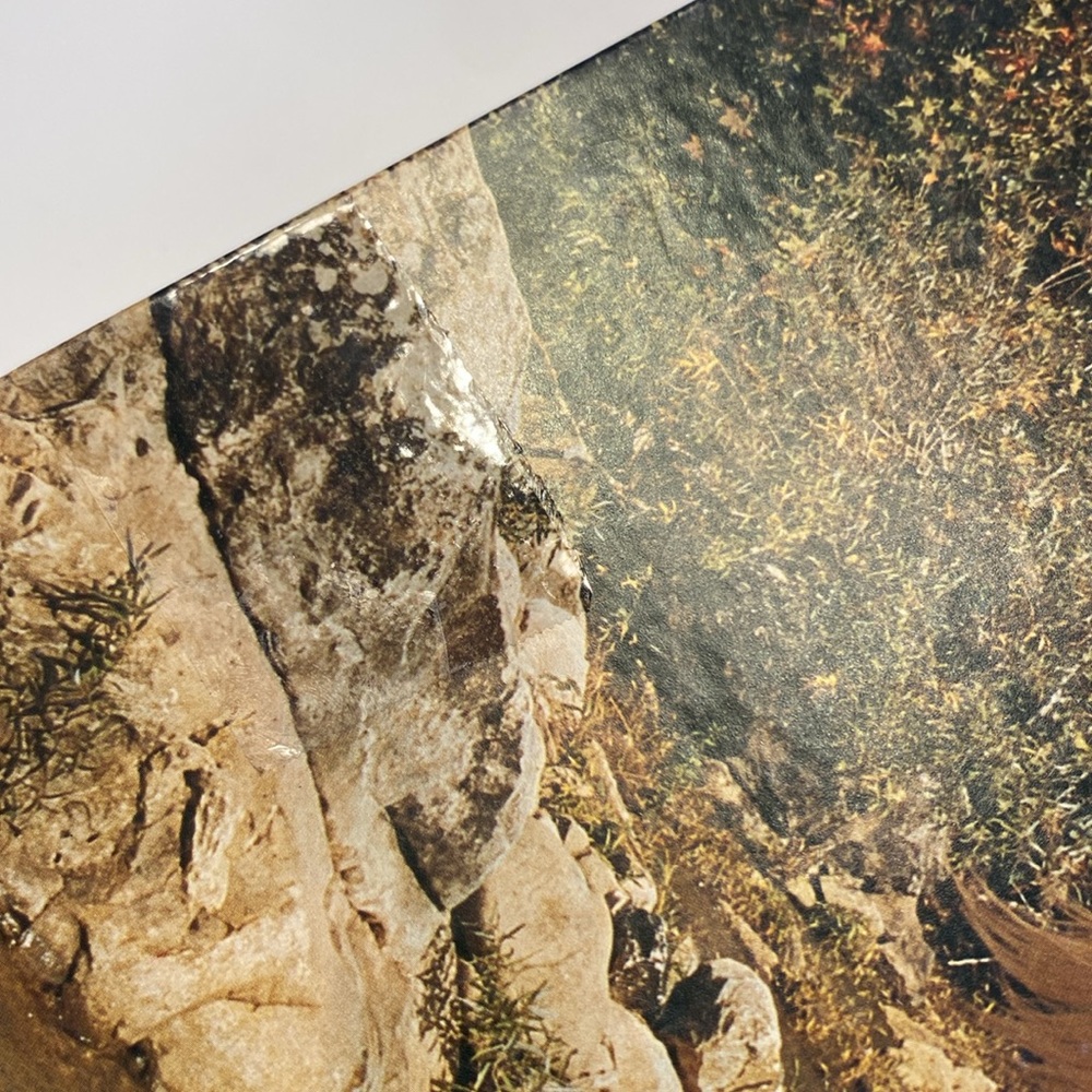 Vintage 80’s  WHITE ARABIAN STALLION JIGSAW PUZZLE, SPRINGBOK, 1000 PIECES. - Picture 8 of 14